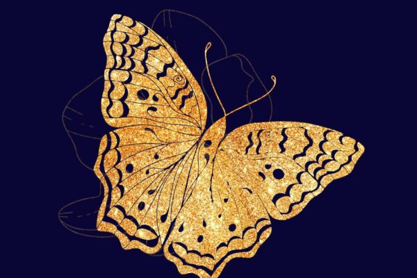 You Want to Be Seen. But You Also Want to Hide